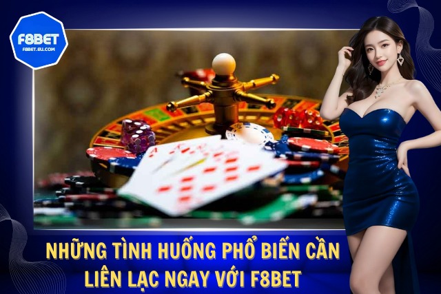 Một số trường hợp cần liên lạc với đội ngũ nhà cái
